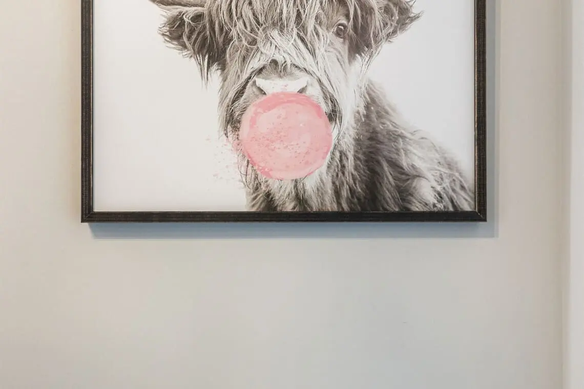 6e7974f641b249e29a2880eae97a2da0 LargeOriginal.jpg