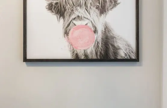 6e7974f641b249e29a2880eae97a2da0 LargeOriginal.jpg