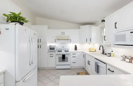 e4880c84f4304185a63d7bd932e79540 LargeOriginal.jpg