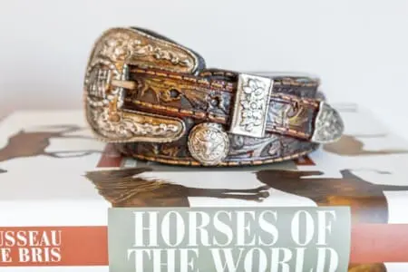 e81af3866342427b9deb82e94b7494e1 LargeOriginal.jpg