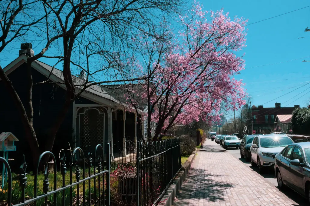 Nashville neighborhood scene