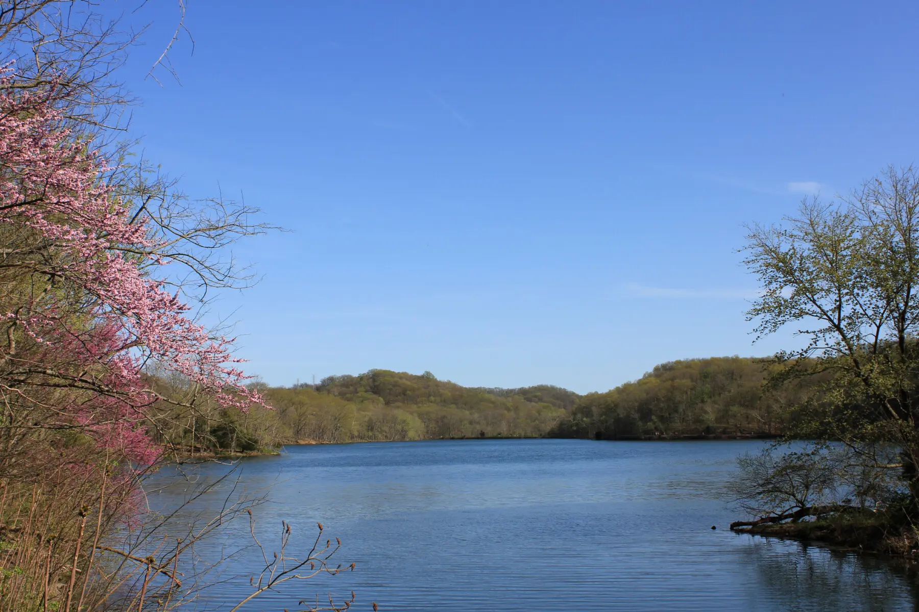 Radnor Lake State Park Nashville — serene morning light on the lake trail