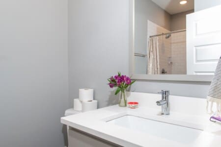 Music City Magnolia Nashville vacation rental Wildflower pet friendly - image 27