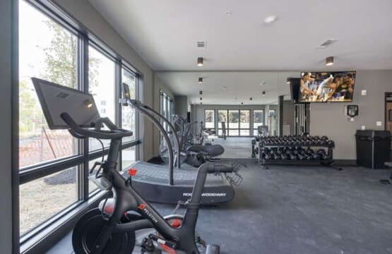 Music City Magnolia Honky Tonk Party Pad Dolly luxury Midtown Nashville rental - image 35