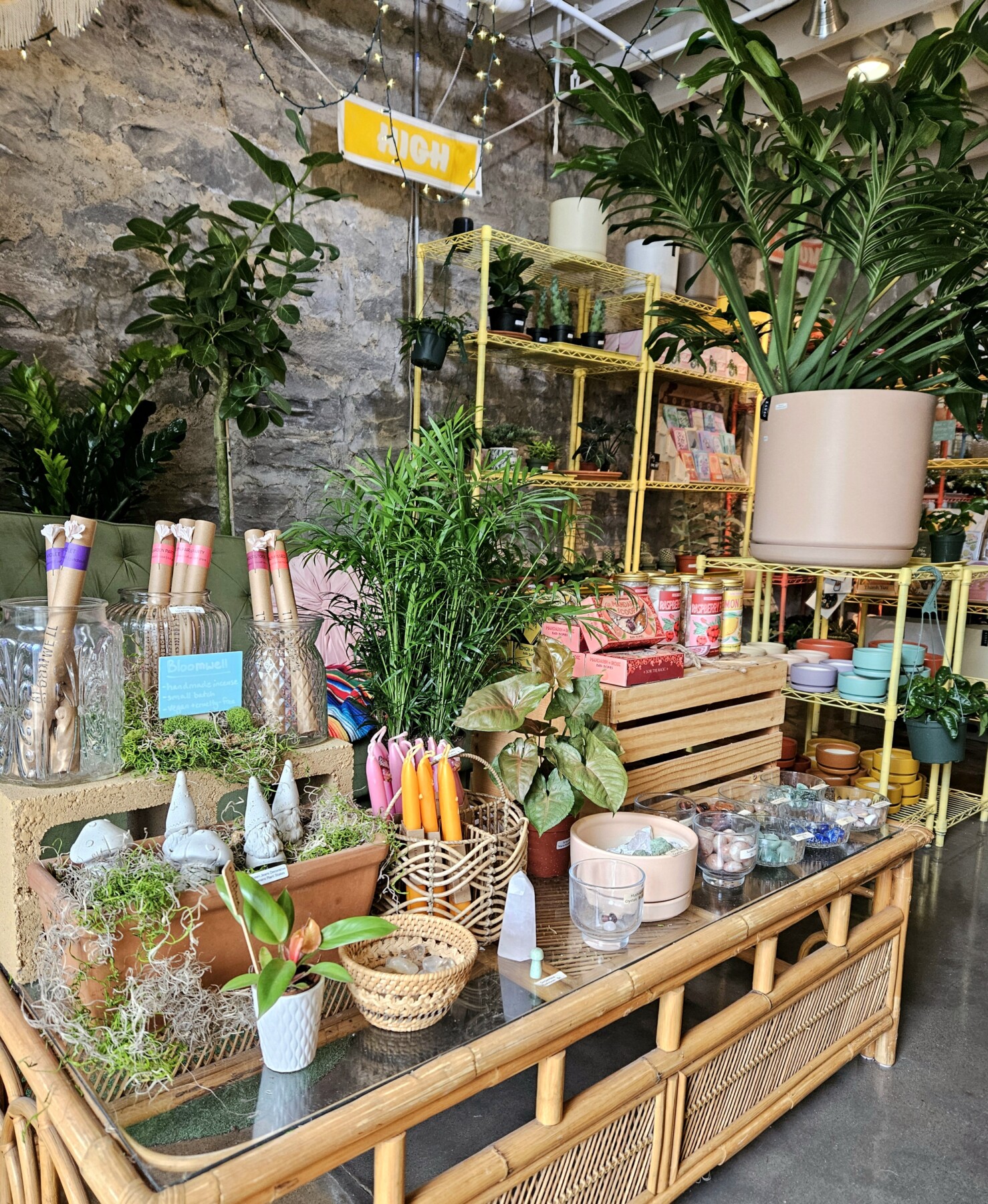 Desert + Vine Botanical Supply — Nashville shop