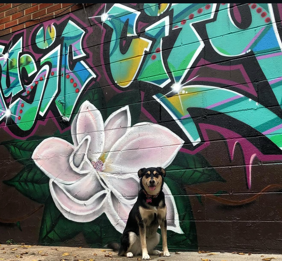 Custom hand-painted magnolia mural on the exterior of the Magnolia Nashville vacation rental